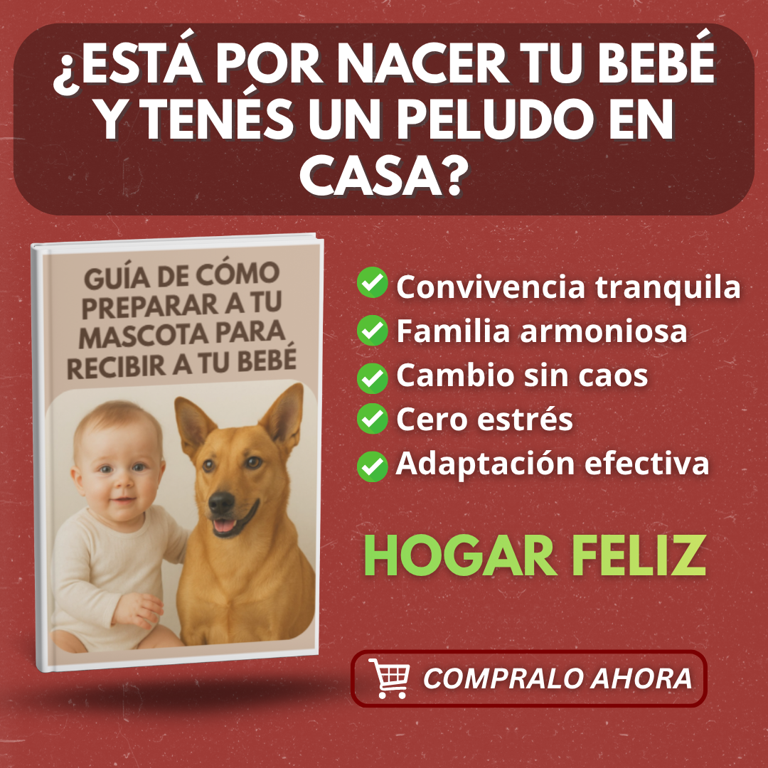 Guía de cómo preparar a tu mascota para recibir a tu bebé🐶👶