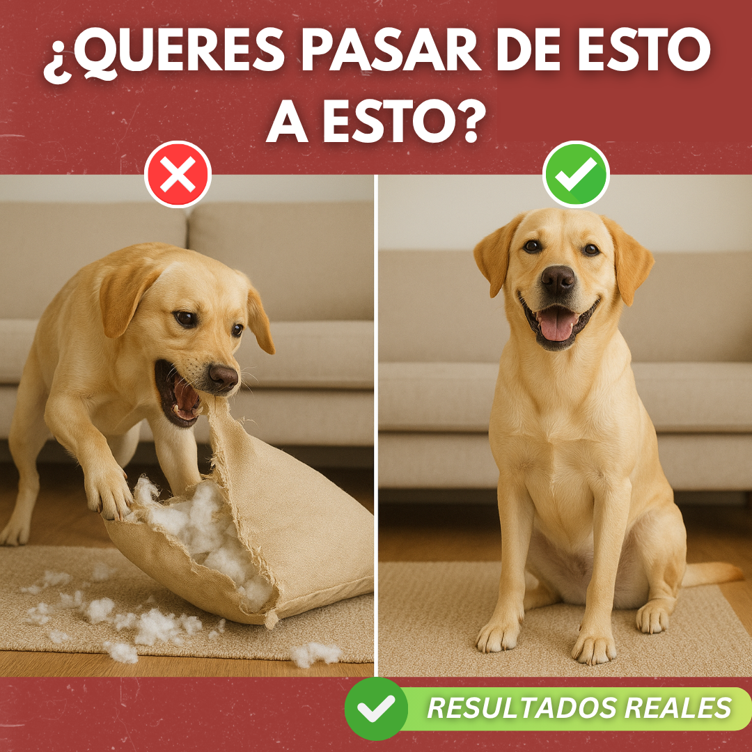 🐶 30 Días Para Un Perro Más Obediente y Feliz 🐶 + 20 Recetas Caseras ¡DE REGALO!