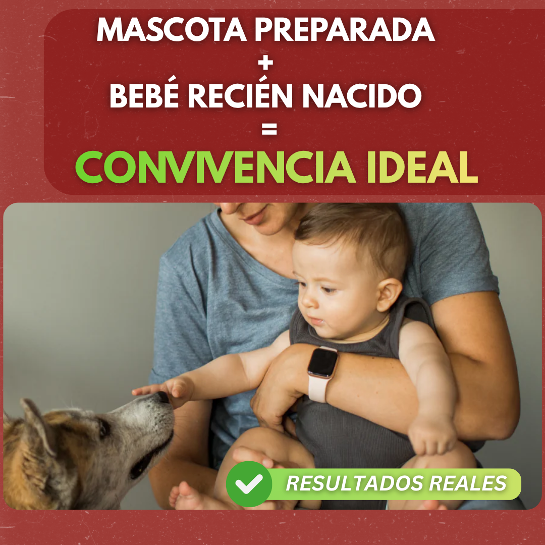 Guía de cómo preparar a tu mascota para recibir a tu bebé🐶👶
