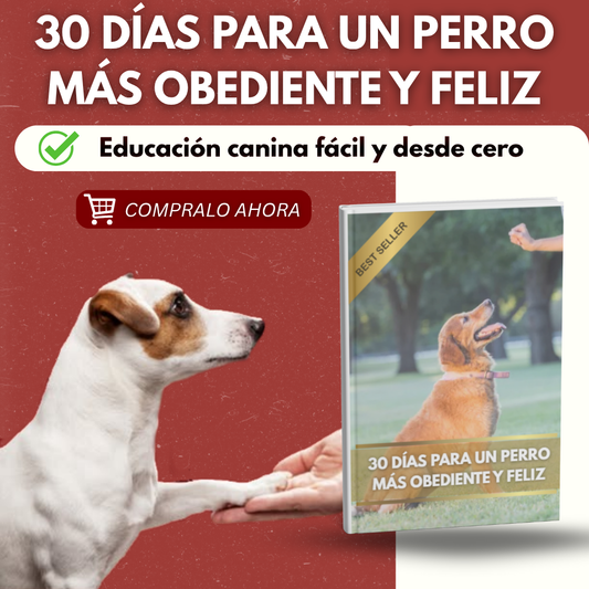 🐶 30 Días Para Un Perro Más Obediente y Feliz 🐶 + 20 Recetas Caseras ¡DE REGALO!